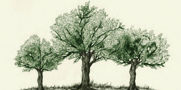 The Hidden Life of Trees, by Peter Wohlleben The Hidden Life of Trees, by Peter Wohlleben