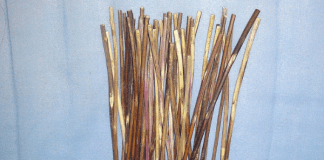 I Ching Oracle Cards Yarrow stalks, photo by CharlieHuang