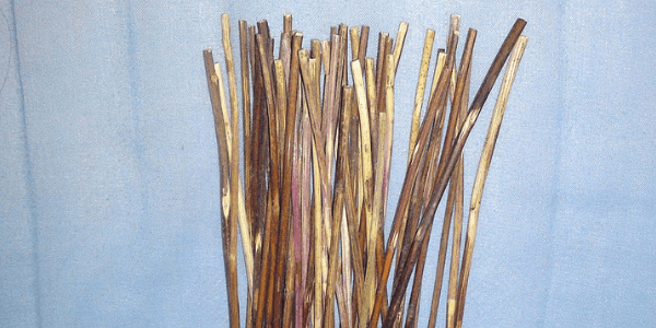 Yarrow stalks, photo by CharlieHuang