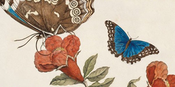 The Big Book of Practical Spells, by Judika Illes The Big Book of Practical Spells, by Judika Illes