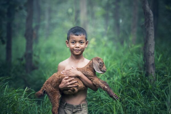 boy holding lamb with love and care.