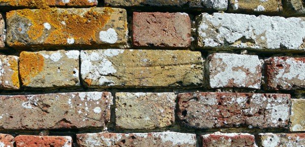 Brick wall, photo by Peter