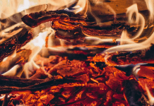 Djinn: Spirits of fire and wilderness Djinn: Spirits of fire and wilderness at Spiral Nature