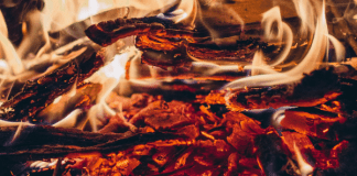 Djinn: Spirits of fire and wilderness Djinn: Spirits of fire and wilderness at Spiral Nature