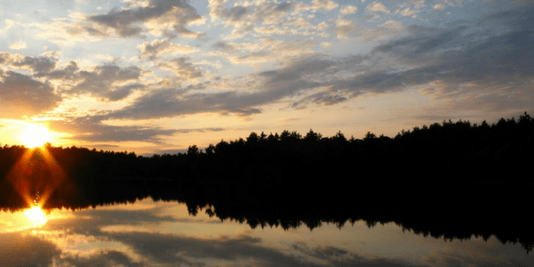 Long way home: Hail and Horn Gathering 2018 at Spiral Nature