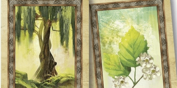 Celtic Tree Oracle by Sharlyn Hidalgo