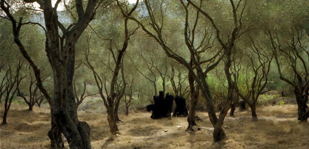 Coven warning Coven, photo by Barry Lewis