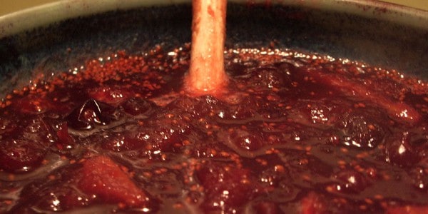 Cranberry sauce, photo by Kim F
