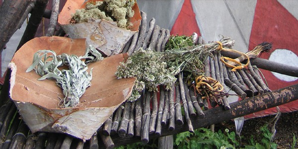 A Cree Healer and His Medicine Bundle, by David Young, et al. A Cree Healer and His Medicine Bundle, by David Young, et al.