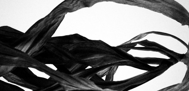 The Journey into Spirit, by Kristoffer Hughes Death and Dying, photo by Wayne Wilkinson