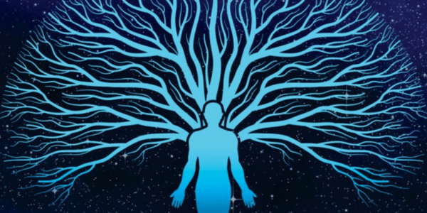 The Dreamlife of Families, by Edward Bruce Bynum the dreamlife of families by edward bruce bynum - reviewed at spiral nature