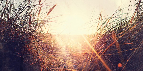 Dreams at the Threshold, by Jeanne Van Bronkhorst Dreams at the Threshold, by Jeanne Van Bronkhorst