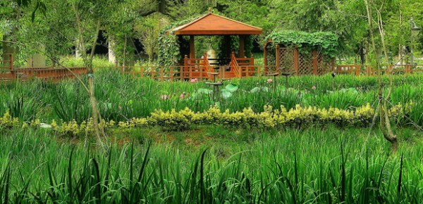 Ecology, photo by travel oriented