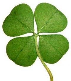 Four-leaf clover, Jackpot Jane