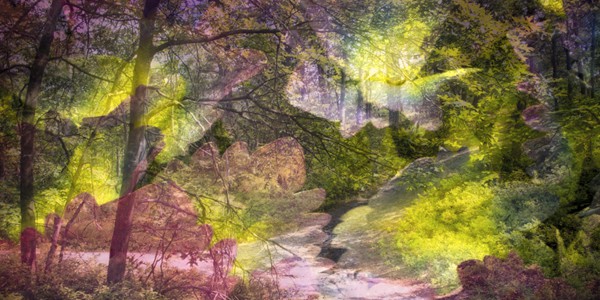 Gaia’s Vision Oracle Cards Detail from Gaia's Vision Oracle Cards