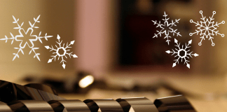 Gift ideas for 2018 from Spiral Nature contributors