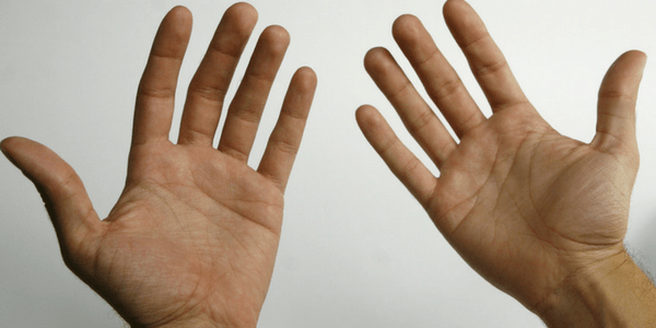 Everyday Palmistry, by Heather Roan Robbins Hands, photo by Nate Steiner