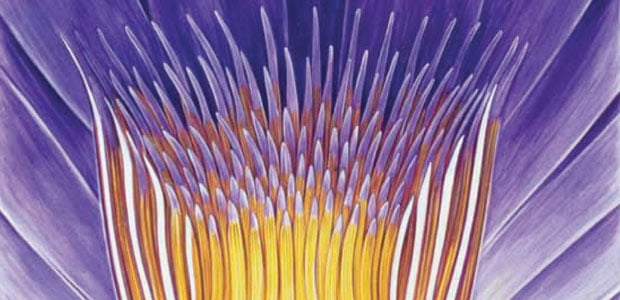 The Heart of Buddhist Meditation, by Nyanaponika Thera The Heart of Buddhist Meditation, by Nyanaponika Thera