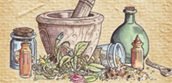 Herbal Alchemist's Handbook, by Karen Harrison