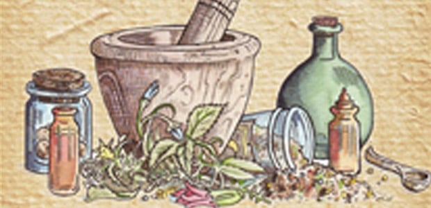 Herbal Alchemist’s Handbook, by Karen Harrison Herbal Alchemist's Handbook, by Karen Harrison