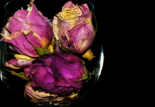 Self-love magick: Three spells of healing and self-care Self-love magick: Three spells of healing and self-care