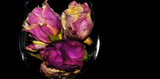 Self-love magick: Three spells of healing and self-care Self-love magick: Three spells of healing and self-care