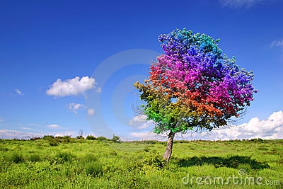 Photo from dreamstime.com