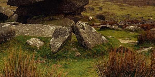 Nature Mystics, by Rebecca Beattie