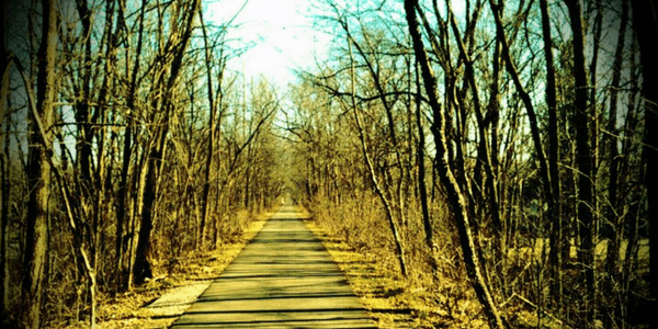 Nature path, photo by noodlesthekuppy