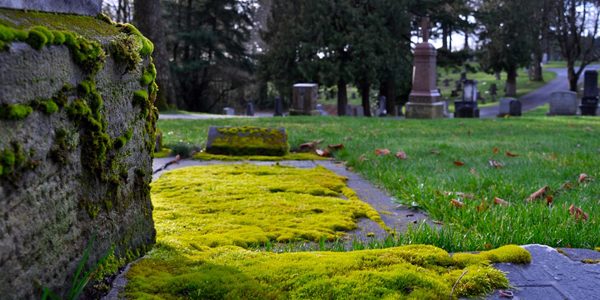 Pere La Chaise, cemetery carpet, photo by K Kendall