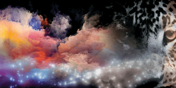 Shamanic Trance Dance Shamanic Trance Dance, by Byron Metcalf