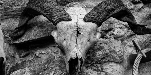 Meditations on the Satanic Statements, by Ivan Grammaticus skull “15052016-R0021073-Bearbeitet” by leon2201 (flickr)