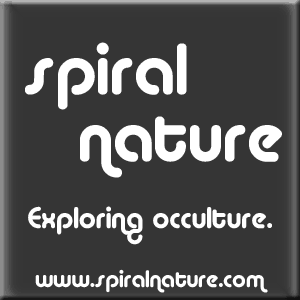 The Meaning of Social Justice Spiral Nautre Logo - Bevel 2014