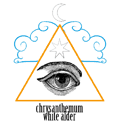 Chrysanthemum White Alder - Manifest Breath