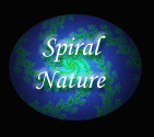 Spiral Nature Round Logo