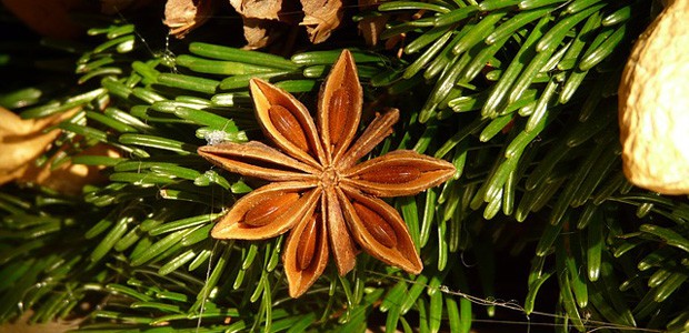 Crafting a tarot wreath Star anise wreath, image by Hans