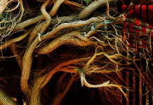 Godhead assumption through the Middle Pillar ritual Godhead assumption through the Middle Pillar ritual at Spiral Nature