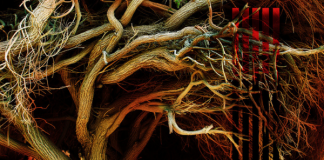 Godhead assumption through the Middle Pillar ritual Godhead assumption through the Middle Pillar ritual at Spiral Nature