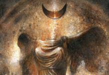 Artist spotlight: Kostas Artist spotlight: Kostas, of Mistiis.com at Spiral Nature