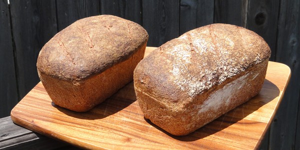 Whole wheat loaves, photo by Bart Everson